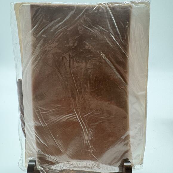 Mayer TAUPE Ultra Sheer Control Top Sandalfoot Med Tall 80’s Pantyhose BUNNY NOS - Picture 6 of 8